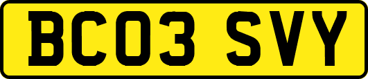 BC03SVY