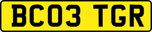 BC03TGR