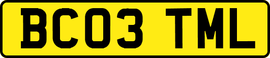 BC03TML