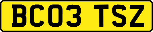 BC03TSZ