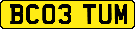 BC03TUM