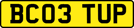 BC03TUP