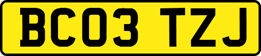 BC03TZJ