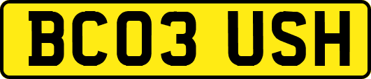 BC03USH