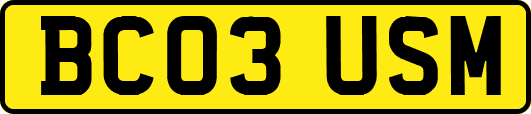 BC03USM