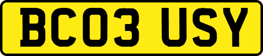 BC03USY