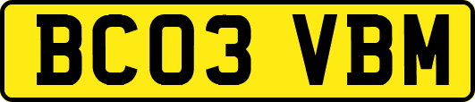 BC03VBM