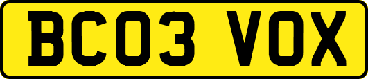 BC03VOX