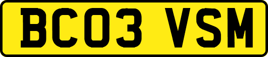 BC03VSM