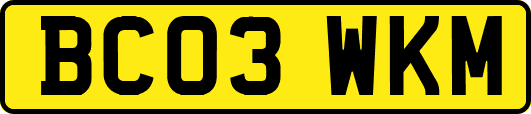 BC03WKM