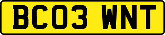 BC03WNT