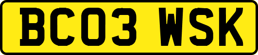 BC03WSK