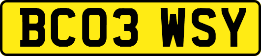 BC03WSY