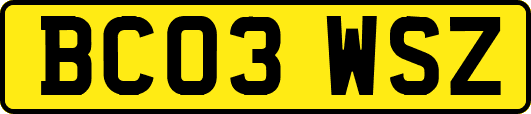 BC03WSZ