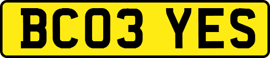 BC03YES