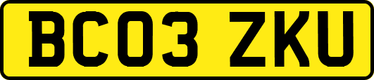 BC03ZKU