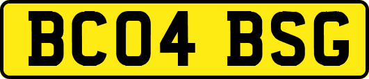 BC04BSG