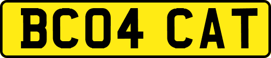 BC04CAT
