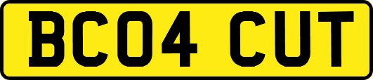 BC04CUT