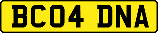 BC04DNA