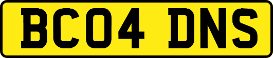 BC04DNS