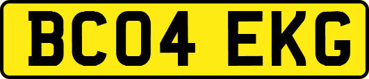 BC04EKG