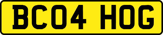 BC04HOG