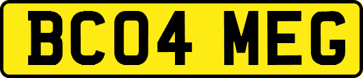 BC04MEG