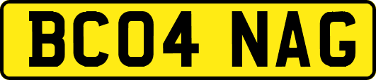 BC04NAG