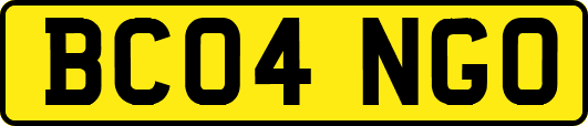 BC04NGO
