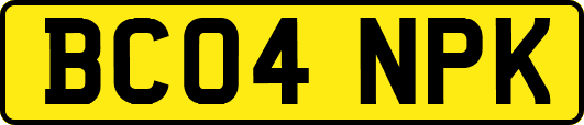 BC04NPK