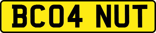 BC04NUT