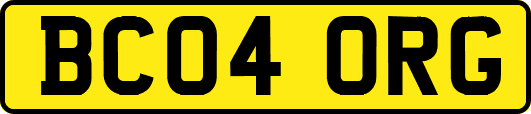 BC04ORG