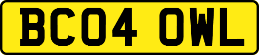 BC04OWL