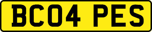 BC04PES