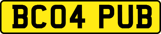 BC04PUB