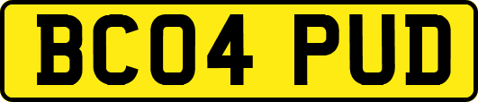 BC04PUD