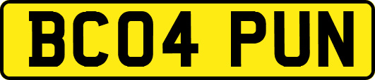 BC04PUN