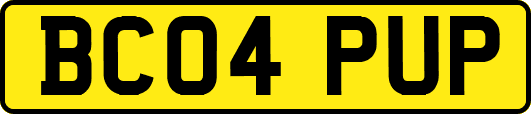 BC04PUP
