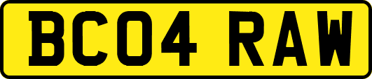 BC04RAW