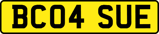 BC04SUE