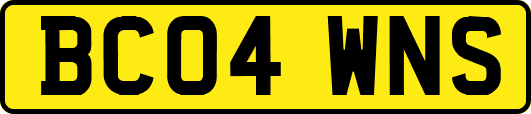 BC04WNS