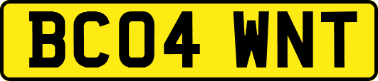 BC04WNT