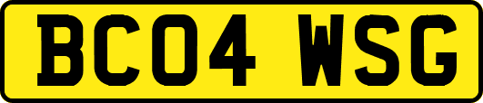 BC04WSG