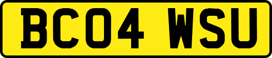 BC04WSU