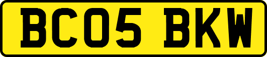 BC05BKW