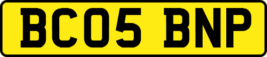 BC05BNP