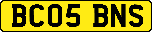 BC05BNS