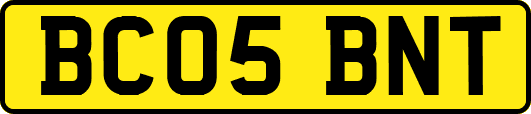 BC05BNT