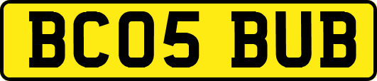 BC05BUB